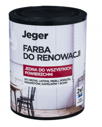 Renovation Paint 1L White